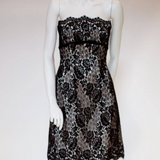 French lace dress